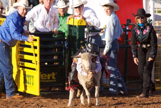 Coleman Rodeo Mutton Bustin